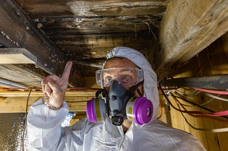 Mold Professionals in Kansas