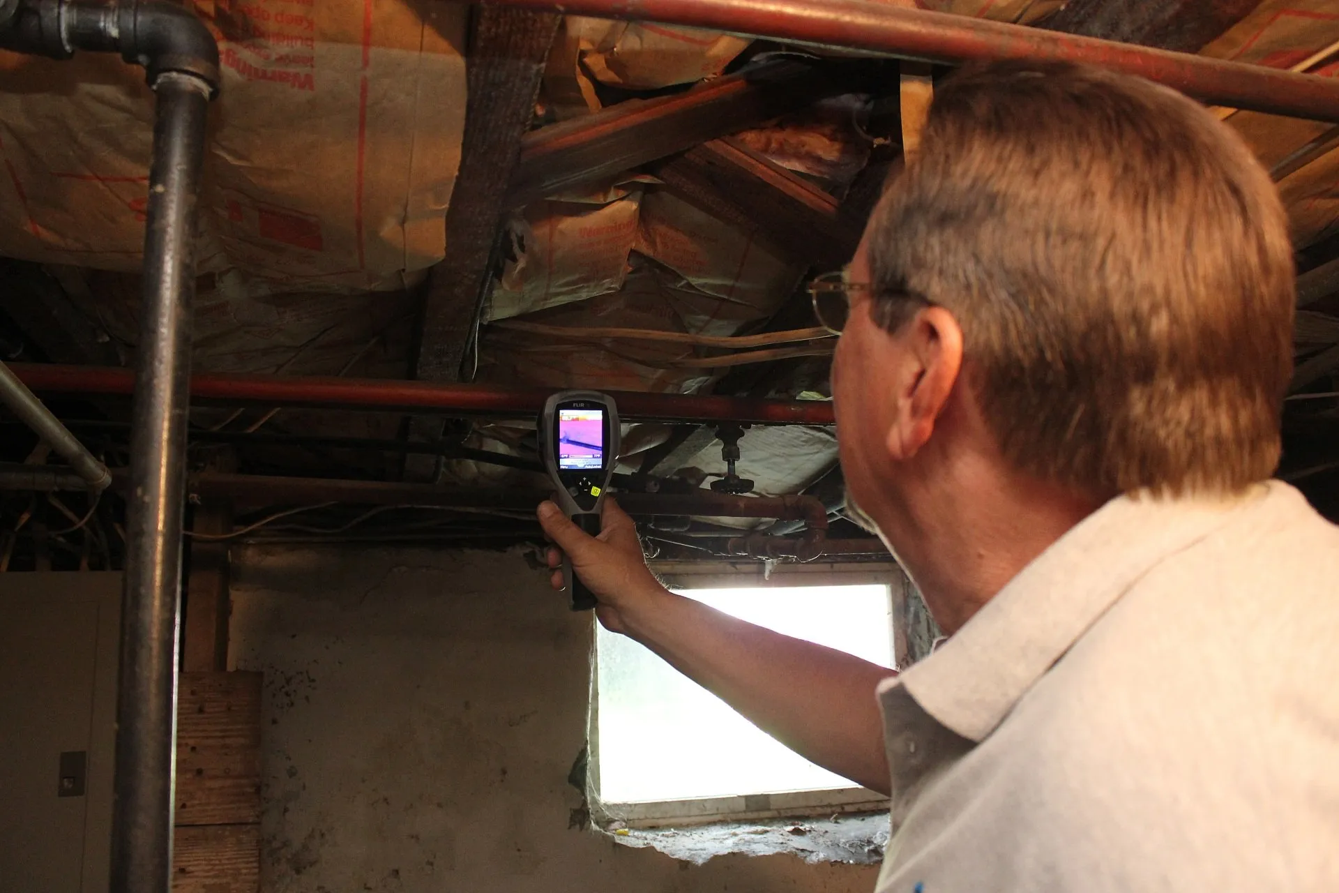 mold testing Kansas