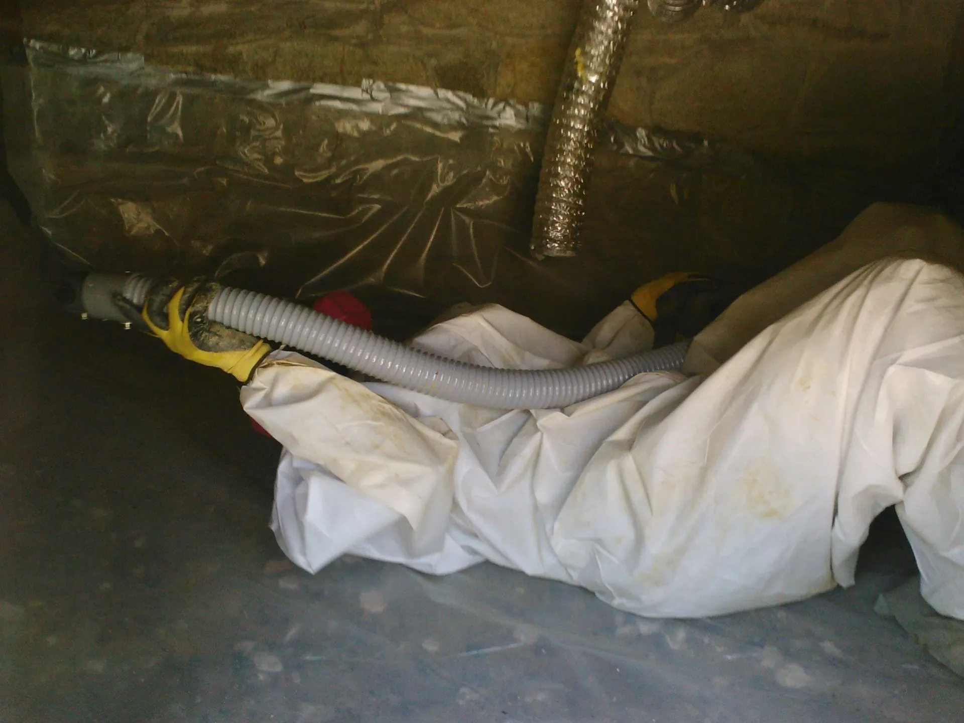 mold remediation kansas