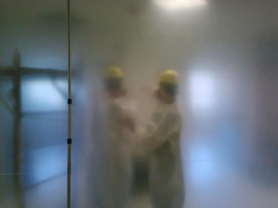 Mold Removal Service for Home Owners