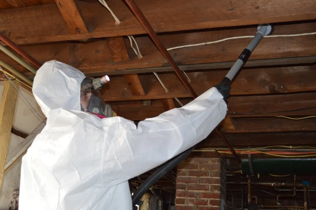mold remediation service kansas