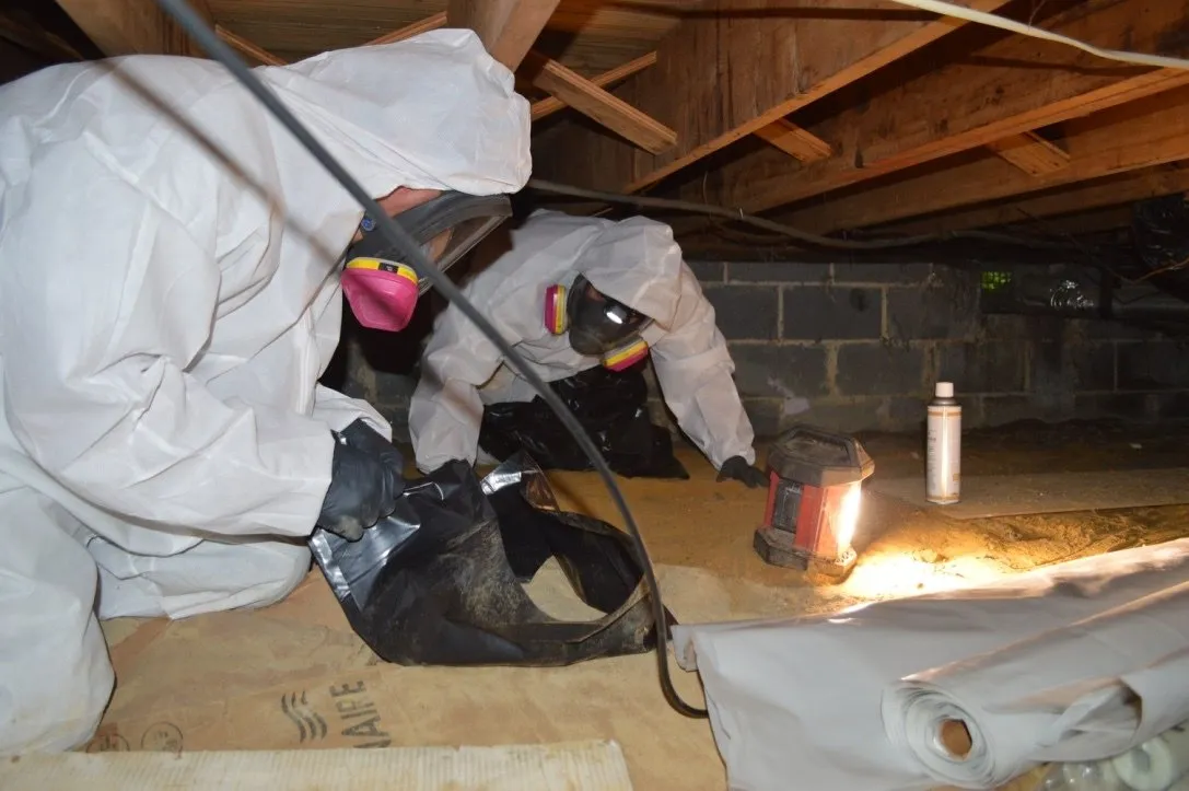Mold Removal Kansas
