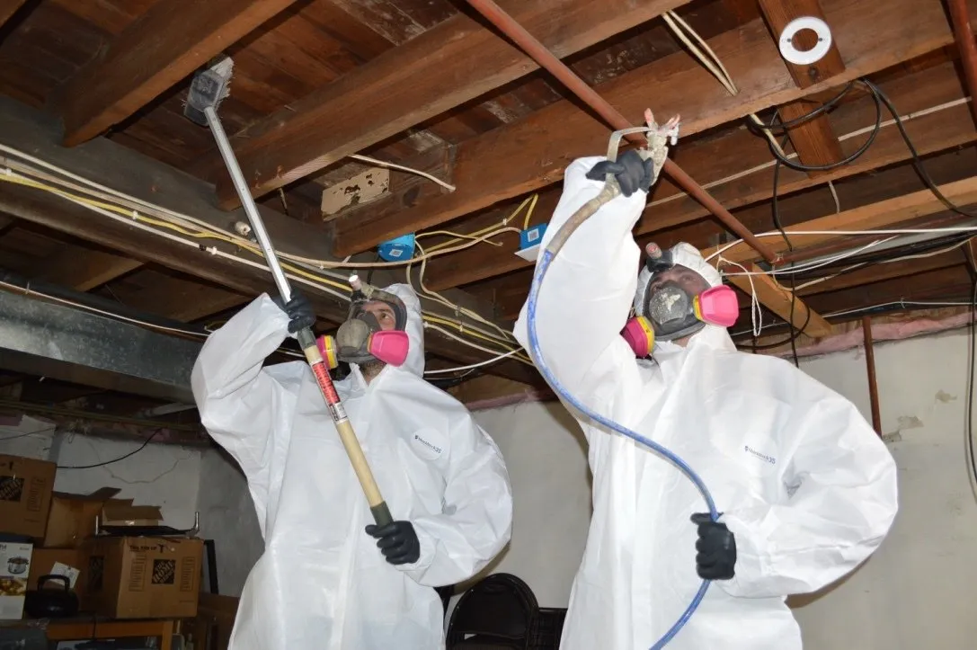 mold cleanup kansas