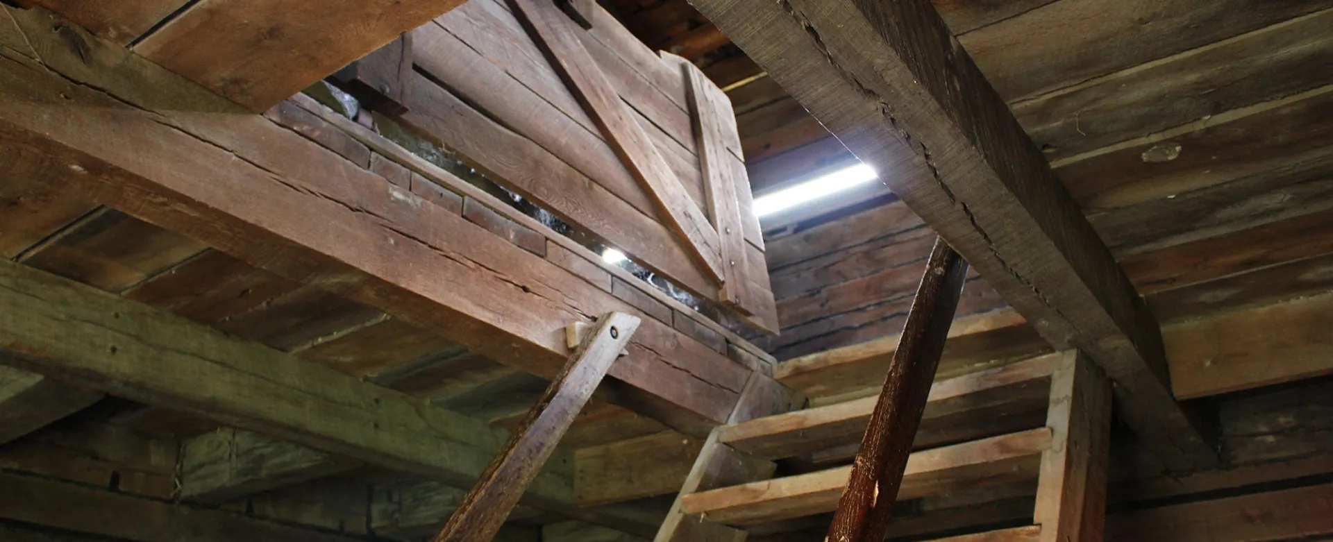 Prevent Mold In the Attic