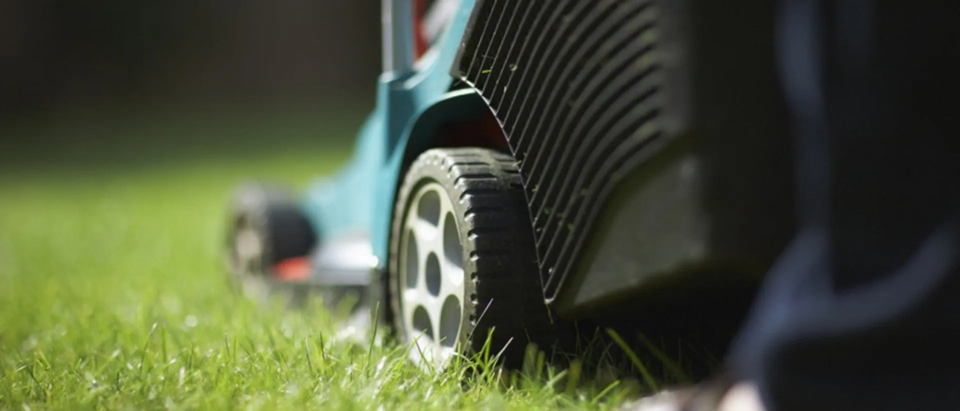 Vision Tree Service